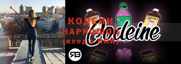 прущие грибы Балахна