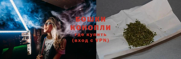прущие грибы Балахна