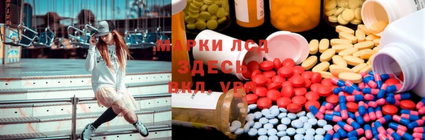 прущие грибы Балахна