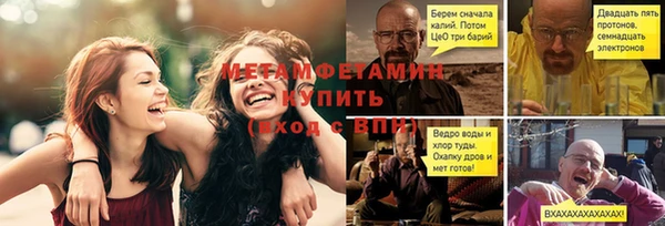 прущие грибы Балахна