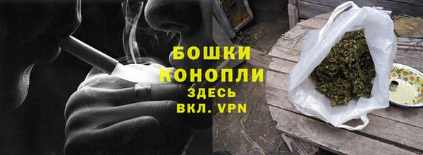 прущие грибы Балахна