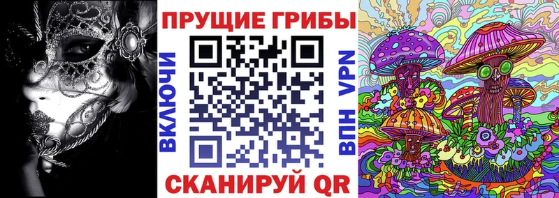 цена Гремячинск Псилоцибиновые грибы Psilocybine cubensis