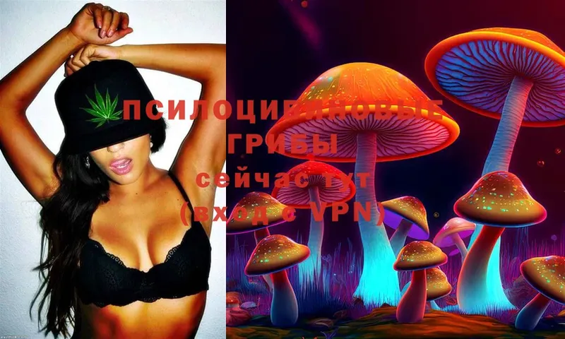 Псилоцибиновые грибы MAGIC MUSHROOMS  Гремячинск 